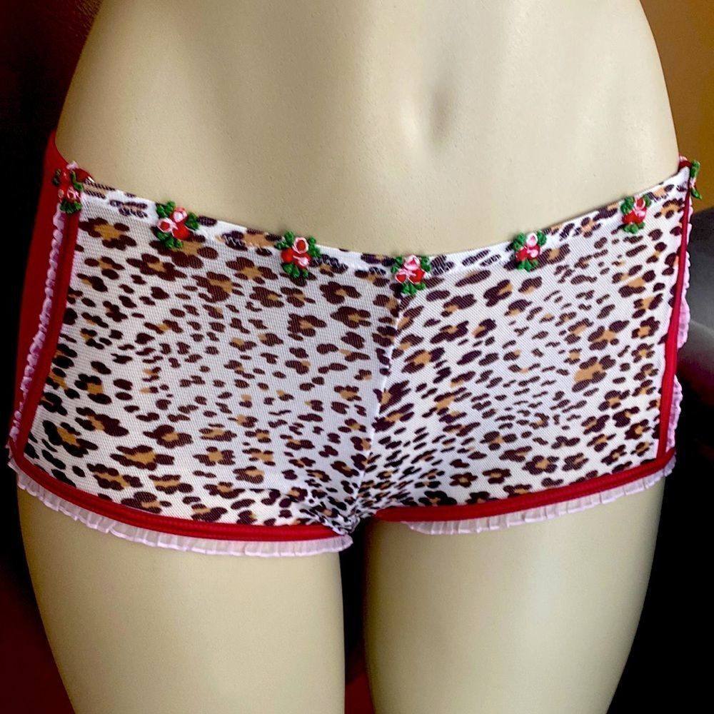 Victoria’s Secret Mesh Panties Hot shorts Small